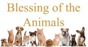 BlessingAnimals